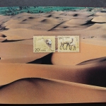 China, Jahrbuch 1993 roter Einband, postfrisch / MNH