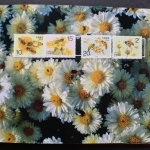 China, Jahrbuch 1993 roter Einband, postfrisch / MNH