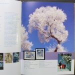 China, Jahrbuch 1995, postfrisch / MNH