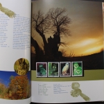 China, Jahrbuch 1995, postfrisch / MNH