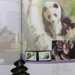 China, Jahrbuch 1995, postfrisch / MNH