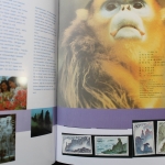 China, Jahrbuch 1995, postfrisch / MNH