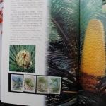 China, Jahrbuch 1996, grüner Einband, postfrisch / MNH