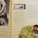 China, Jahrbuch 1996, grüner Einband, postfrisch / MNH