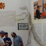 China, Jahrbuch 1996, grüner Einband, postfrisch / MNH
