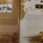 China, Jahrbuch 2006, postfrisch / MNH