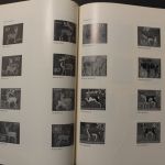 Deutschland, Ministerjahrbuch der Deutschen Bundespost 1966