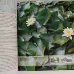 Dänemark Jahrbücher-Sammlung von 1992-2001