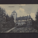 Holle - Wohldenberg, Die Burg