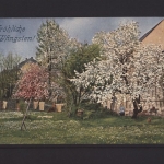 Fröhliche Pfingsten