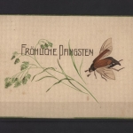 Fröhliche Pfingsten