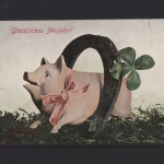 Glückliches Neujahr, Glücksschwein