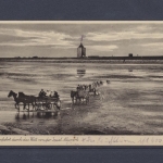 Neuwerk, Insel, Wagenfahrt durch das Watt