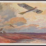 Militärtaube auf Erkundungsflug bei den Masurischen Seen