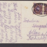 Mädchen mit Rosenkorb überbringt Geburtstagsglückwünsche