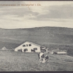 Kahlenwasen, im Münstertal, Melkerei
