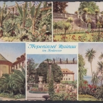Insel Mainau im Bodensee, das tropische Pflanzenparadies