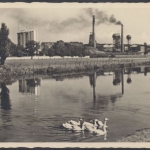 Rheinisch-Westfälische Heimat