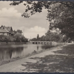 Uelzen, Ratsteich
