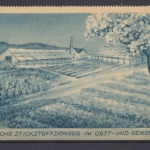 Deutsche Stickstoffdünger im Obst- und Gemüsebau