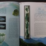 China, Jahrbuch 2002, postfrisch, roter Einband mit Umschlag