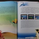 China, Jahrbuch 2002, postfrisch, roter Einband mit Umschlag