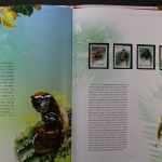 China, Jahrbuch 2002, postfrisch, roter Einband mit Umschlag