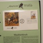 Belege-Posten Ausland, dabei viele Luftpostbriefe Afrika etc.