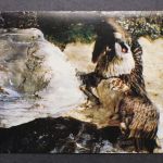 China, MiNr. 2105-2108, Klappkarte, EST