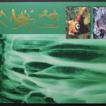 China, MiNr. 2897-2900 + Block 84, Folder, postfrisch