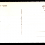 Braunlage, Eichhörnchen - Brunnen