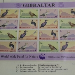 Motivsammlung Vögel, große selbstgestaltete Sammlung