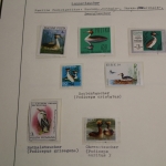 Motivsammlung Vögel, große selbstgestaltete Sammlung