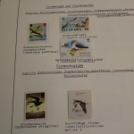 Motivsammlung Vögel, große selbstgestaltete Sammlung