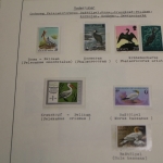 Motivsammlung Vögel, große selbstgestaltete Sammlung