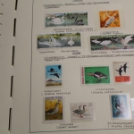 Motivsammlung Vögel, große selbstgestaltete Sammlung