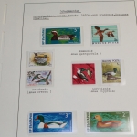 Motivsammlung Vögel, große selbstgestaltete Sammlung