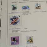 Motivsammlung Vögel, große selbstgestaltete Sammlung