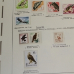 Motivsammlung Vögel, große selbstgestaltete Sammlung