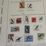 Motivsammlung Vögel, große selbstgestaltete Sammlung