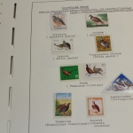 Motivsammlung Vögel, große selbstgestaltete Sammlung