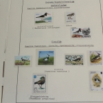 Motivsammlung Vögel, große selbstgestaltete Sammlung