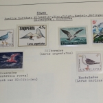 Motivsammlung Vögel, große selbstgestaltete Sammlung