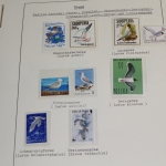 Motivsammlung Vögel, große selbstgestaltete Sammlung