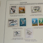 Motivsammlung Vögel, große selbstgestaltete Sammlung