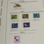 Motivsammlung Vögel, große selbstgestaltete Sammlung