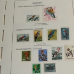 Motivsammlung Vögel, große selbstgestaltete Sammlung