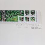 Motivsammlung Vögel, große selbstgestaltete Sammlung