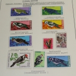 Motivsammlung Vögel, große selbstgestaltete Sammlung