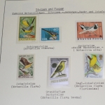 Motivsammlung Vögel, große selbstgestaltete Sammlung